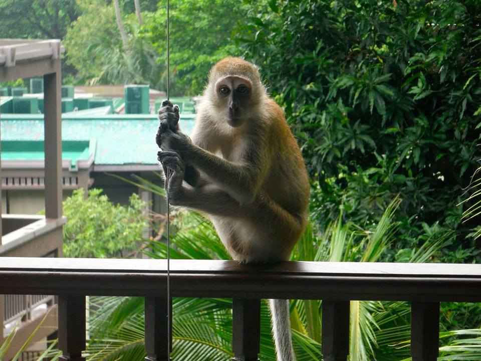 Ao Nang, Thailand