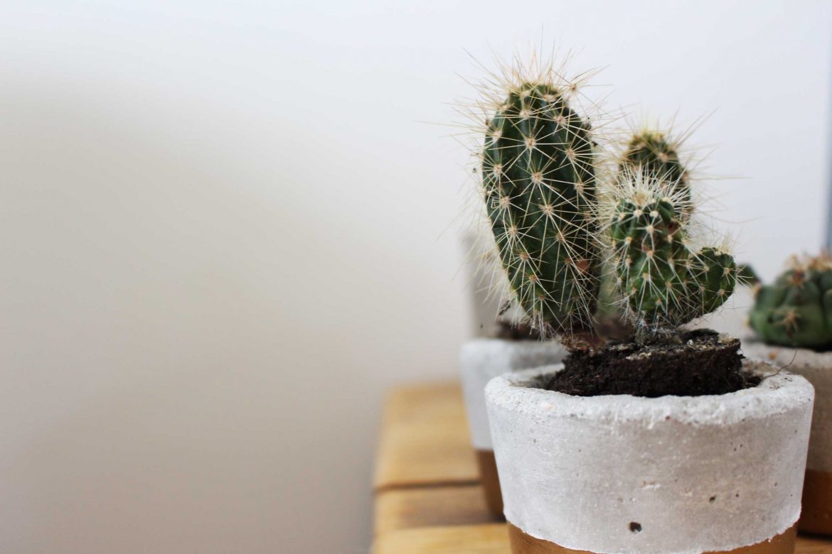 5 Ways To Make Your House A Relaxing Place To Be