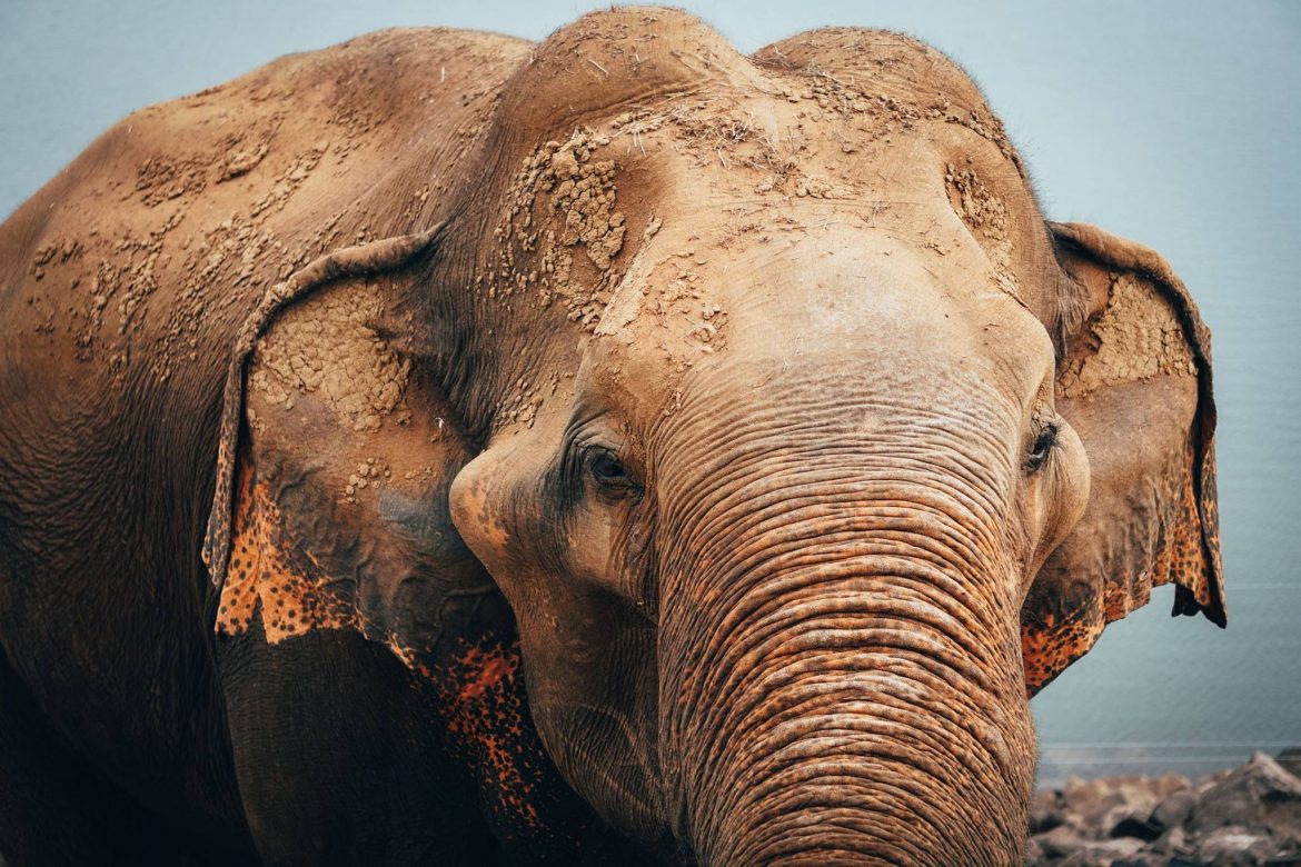 5 Things To Do In Southern Sri Lanka