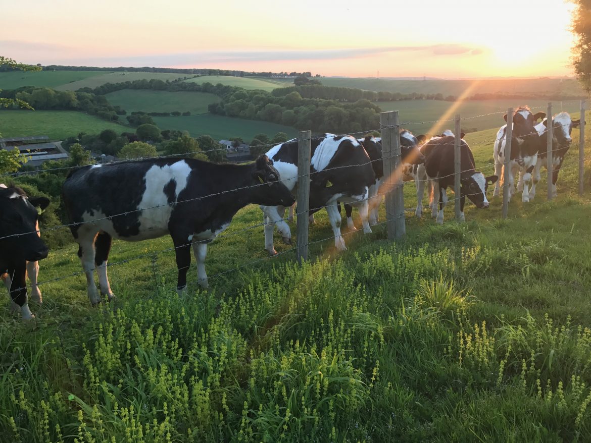 How To Turn A Bad Day Into A Good Day