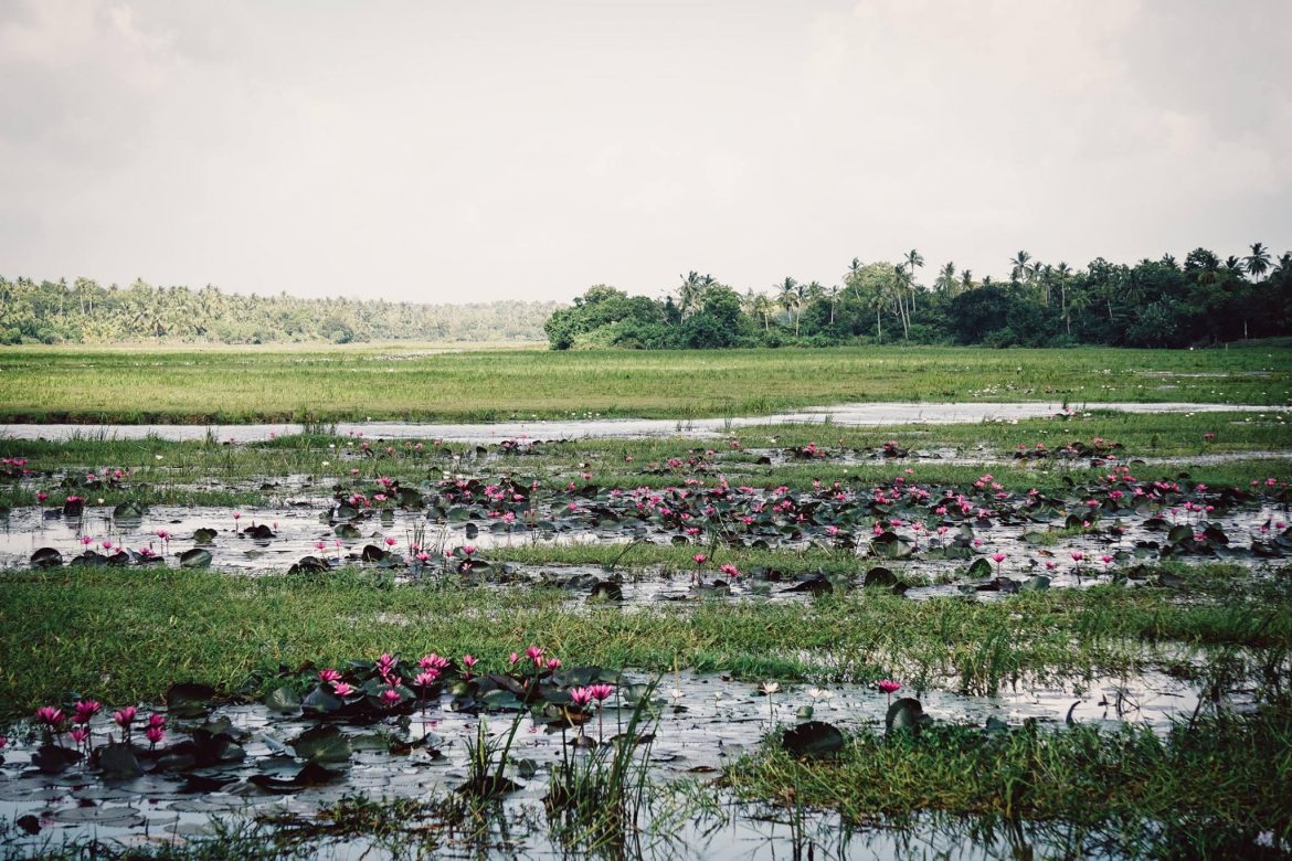 How To Transition From A Fixed To A Growth Mindset