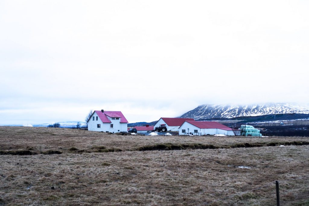 An Iceland Roadtrip Itinerary | Caroline Allen